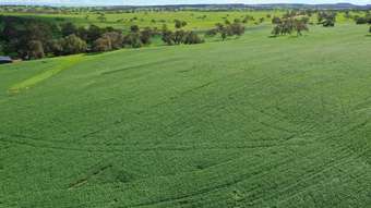 Farm Property for Sale - 539 Black Arrow Road Hill River WA 6521