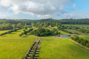 458 Farrawells Road Telegraph Point NSW 2441