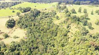 Farm Property for Sale - 581 Theresa Creek Road Millaa Millaa QLD 4886