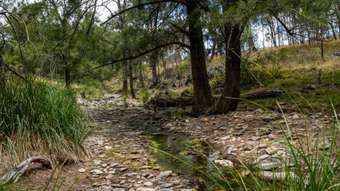 Farm Property for Sale -  Windeyer Road Mudgee NSW 2850