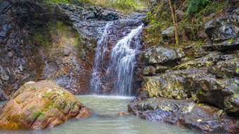 Farm Property for Sale - 222 Bishops Creek Road Coffee Camp NSW 2480