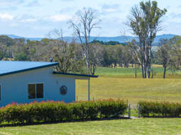 Farm Property for Sale - 951 Shooters Hill Road Chatham Valley NSW 2787