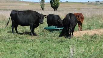 Farm Property for Sale - 223 Marshalls Lane Blayney NSW 2799