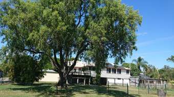 Farm Property for Sale - 330 Grantham Winwill Road Winwill QLD 4347