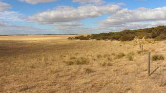 Farm Property for Sale - Allot 2 Ridgway Road Lameroo SA 5302