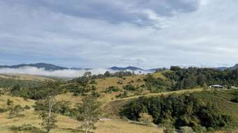 Farm Property for Sale - 154 Inlet Road Birdwood NSW 2446