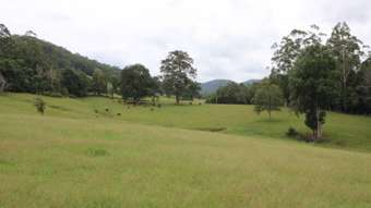 Farm Property for Sale - Lot 101 Pappinbarra Rd Pappinbarra NSW 2446