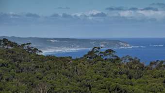 Farm Property for Sale - 150 Melanesia Track Yuulong VIC 3237