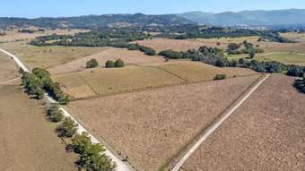 Farm Property for Sale - PT 16 Dingo Lane Myocum NSW 2481