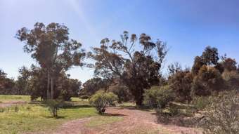 Farm Property for Sale - Toodyay WA 6566