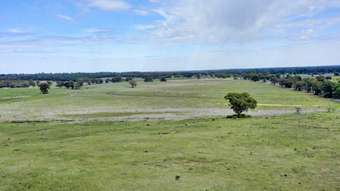 Farm Property for Sale - "Langford" 120 Narromine Road Dubbo NSW 2830