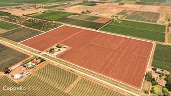 Farm Property for Sale - 133 Rodgers Road Yenda NSW 2681