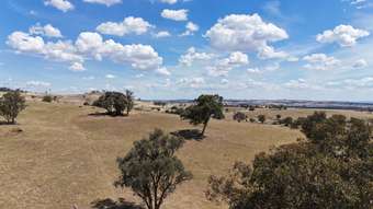 Farm Property for Sale - "Kari Pride of Oak Road Canowindra NSW 2804