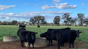 Farm Property for Sale - 1655 Cosgrove Road Invergordon VIC 3636