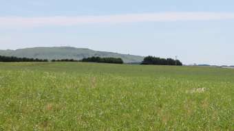 Farm Property for Sale - 75 Ryans Lane Coragulac VIC 3249