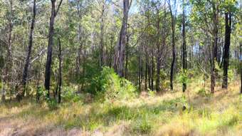 Farm Property for Sale -  Cheviot Hills Road Drake NSW 2469