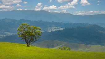 Farm Property for Sale - 900 Marsden Swamp Road Ganbenang NSW 2790