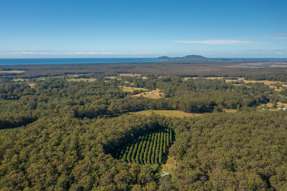 137 Browns Road Barraganyatti NSW 2441