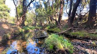 Farm Property for Sale -  Pratts Road Drinan QLD 4671