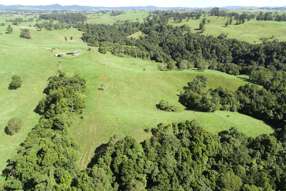 Farm Property for Sale - 129 Ellinjaa Road Millaa Millaa QLD 4886