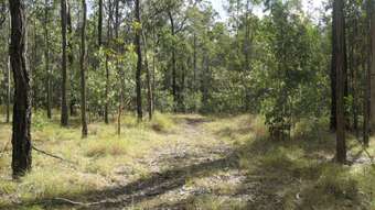Farm Property for Sale -  Bellbird Road Drake NSW 2469