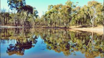 Farm Property for Sale - Waratah Drive Millmerran Downs QLD 4357