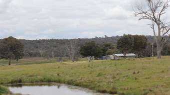 Farm Property for Sale - Lot 88 Slatterys Road Sallys Flat NSW 2850