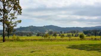 Farm Property for Sale - 637 Dungog Road Hilldale NSW 2420