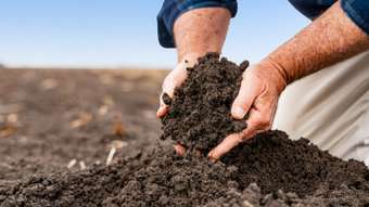 Farm Property for Sale - "Pani West Prairie Road West Prairie QLD 4403