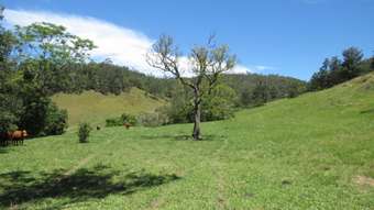 Farm Property for Sale - Burrapine NSW 2447