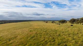 Farm Property for Sale - 195 Gunn Road Drome WA 6330