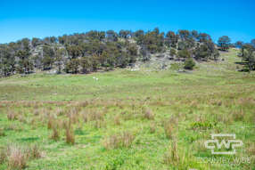 - Ten Mile Rd Deepwater NSW 2371