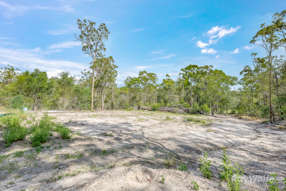 Farm Property for Sale - 250 Delan Road Delan QLD 4671