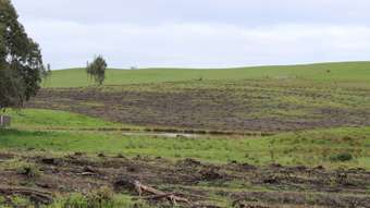 Farm Property for Sale - 89d Thompson Street Hamilton VIC 3300