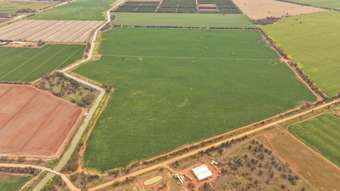 Farm Property for Sale - Myall Park NSW 2681