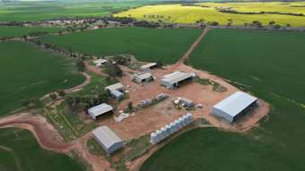 Farm Property for Sale - Yallembee Midlands Road Carnamah WA 6517