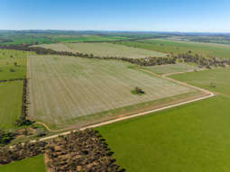 Farm Property for Sale - 166 Mathews Road Downside NSW 2650