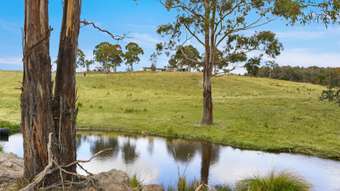 Farm Property for Sale - Lot 175 Windellama Road Goulburn NSW 2580