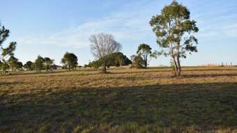 Farm Property for Sale - Lot 2 Five Mile Road East Tinana South QLD 4650
