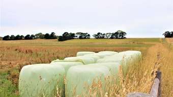 Farm Property for Sale - 30 Morrells Road Ondit VIC 3249