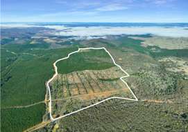 Farm Property for Sale - 3653 Arkstone Road Burraga NSW 2795