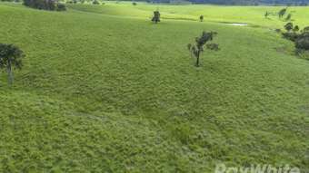 Farm Property for Sale - 4469 Clarence Town Road Dungog NSW 2420