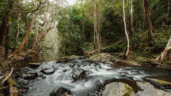 Farm Property for Sale - 39 Forest Close Speewah QLD 4881