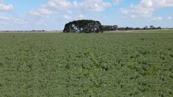 Farm Property for Sale - 2270 Wingeel Road Shelford VIC 3329