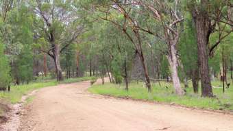 Farm Property for Sale - Lot 8 Mosquito Creek Road Millmerran QLD 4357