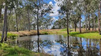 Farm Property for Sale - 444 Abercorn Road Abercorn QLD 4627