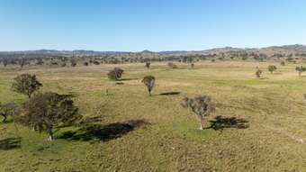 Farm Property for Sale - Lot 22 Reids Road Yarrowyck NSW 2358