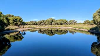 Farm Property for Sale - 427 Coonabidgee Road Coonabidgee WA 6503