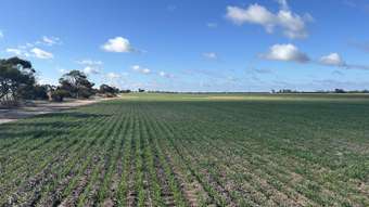 Farm Property for Sale - . "Morgans", White Well &amp; Mt Pleasant Roads Dumbleyung WA 6350