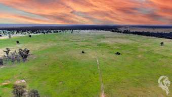 Farm Property for Sale - 1857 Stumpy Lane Wee Waa NSW 2388